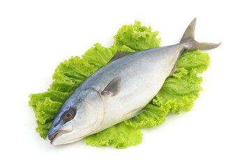 Whole yellowtail amberjack fish on salad isolated on white background.
