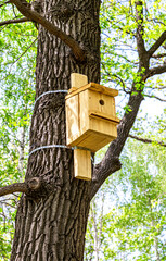 Wooden bird house hanging from a tree