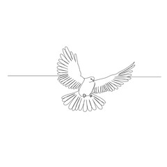 Fototapeta premium continuous line drawing of flying bird