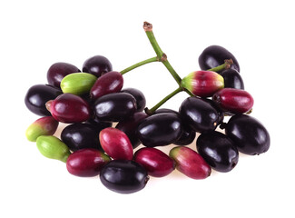 Jambolan plum or Java plum isolated on white background