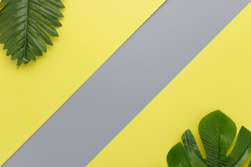 Fototapeta na wymiar Green tropical leaves palm on a yellow and gray background copy space. Minimal summer background concept. Flat lay and close-up photo.