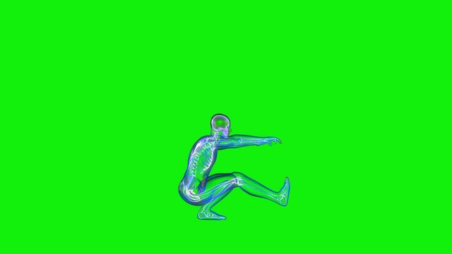 Athlete X-Ray Exercising Pistol Squat, Seamless Loop, Green Screen Chromakey