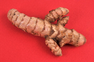 Curcuma frais en gros plan sur fond rouge