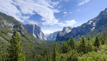 Fototapeta na wymiar Yosemite national park