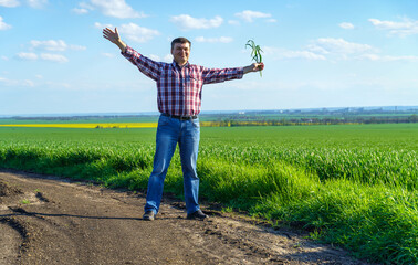 a man as a farmer walking along the field, dressed in a plaid shirt and jeans, checks and inspects...