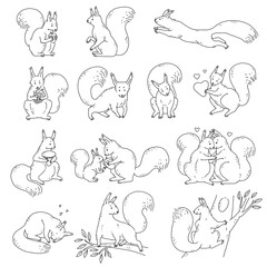 Cute squirrels with nuts and acorns. Set vector black white outline sketch cartoon isolated illustrations of animal characters.