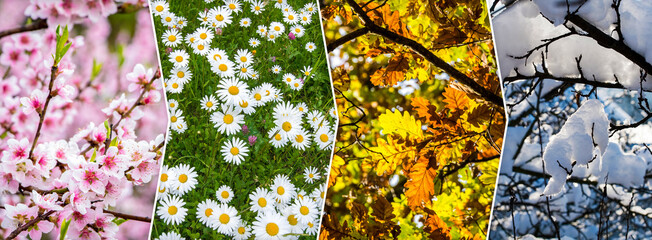 Four season collage with natural themes