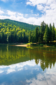 mountain lake in summer. forest reflecting on the water surface. wonderful nature scenery on a bright sunny day with fluffy clouds on the sky