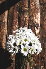 Bunch of white daisies in front of natural bark boards.