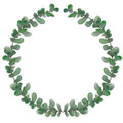 Graduation wreath, eucalyptus branches. Watercolor hand drawing illustration, isolated, white background.