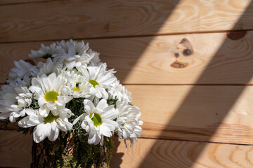 Bunch of white daisies in front of natural bark boards.