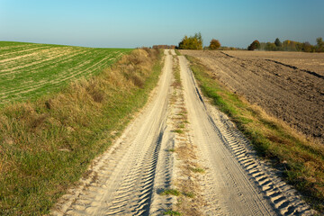 Fototapeta na wymiar Sandy country road through the fields, Brzezno, Poland