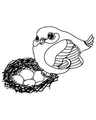 Bird in a nest with eggs isolated on the white background