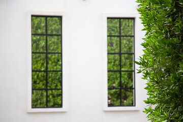Beautiful windows reflecting the greenery outside this white building.