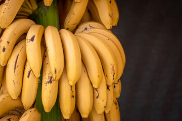 Turkish Anamur Bananas. Banana cob ready for sale