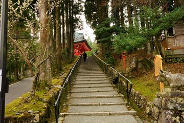 Fototapeta premium Old historic stone stair at Enryakuji Temple (Mount Hieizan) Toudou in Shiga prefecture, Japan - 比叡山 延暦寺 東塔 大講堂の長い石段