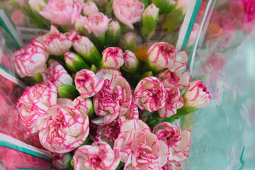 Pink carnation flowers. Close up to a beautiful bouquet of blooming pink pastel carnation