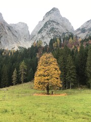 Autumn in Dachstein Austria