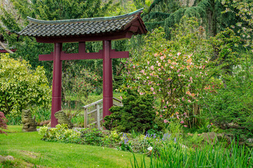 blühender japanischer Garten in Leverkusen 