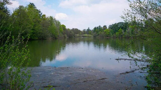 Venaria, Italy. Time lapse video of a small lake at "La Mandria Park".