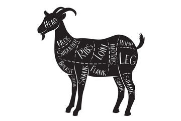 Butcher's guide - mutton - vector illustration