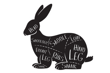Butcher's guide - rabbit - vector illustration