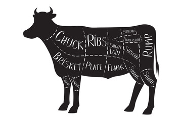 Butcher's guide - beef - vector illustration