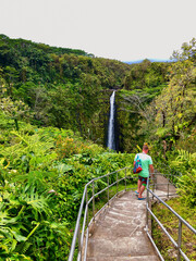 Breathtaking nature landscape scenery inside tropical lush rainforest or jungle with tall trees,...