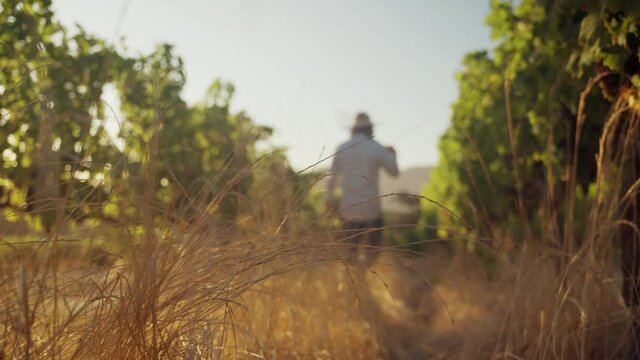 Close up caucasian male farmer walking through grass on farm 