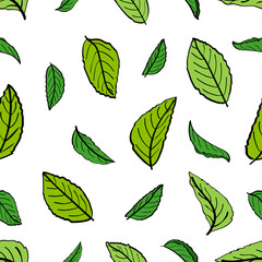 Seamless pattern with leaves  of a tea plant.Silhouettes of branches and leaves of a tea bush.Skcetch of tea leaves. Botanical illustration.