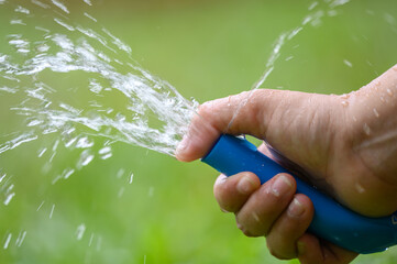 Hand holding blue water hose and watering to the plant in outdoor garden. Gardening concept.watering from the hose