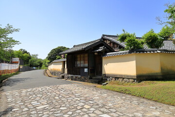 Obraz premium 奈良公園 奈良 日本
