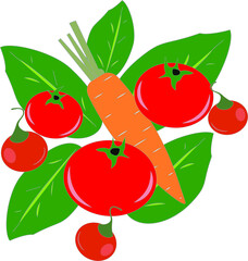 Set of tomato and vegetables vector illustration
