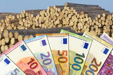 Holzpreis - Euroscheine mit Holzstapel im Hintergrund