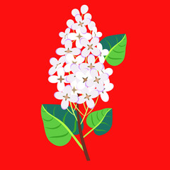 Lilac flower with leaves, pattern.