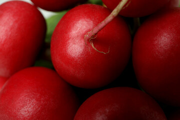 Fresh red radish on whole background, close up
