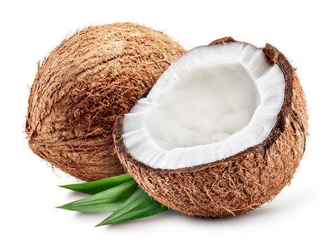 Coconut isolated. Coconuts with leaves on white background. Coconut and a half. Full depth of field.