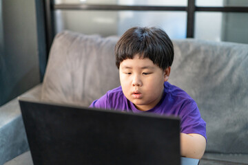 A boy stays home and studying online.