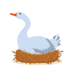 vector illustration of a gray goose sitting in a nest and hatching eggs. Isolated on a white background