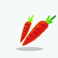 Carrot vector image