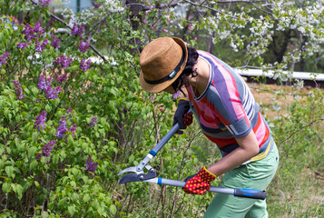 Young woman gardening at the backyard, springtime, flowering trees