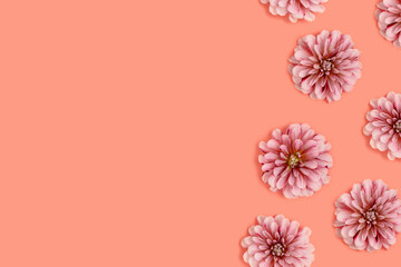 Frame made of dahlia flowers on a coral color background. Floral concept with copyspace.