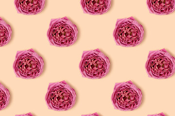 Pattern made of rose flowers heads on a beige background. Springtime delicate concept with copyspace.