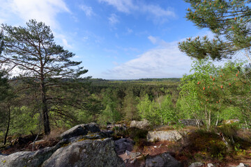 Mount Pivot view in the  25 Bumps Circuit of the Fontainebleau forest