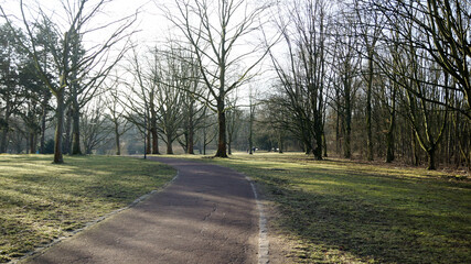 Fototapeta na wymiar Verlassene Wege im Frühling im Park der Bundesbank in Frankfurt am Main
