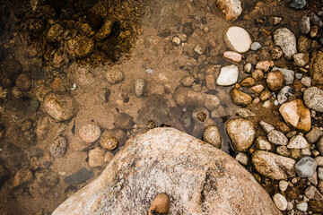 standing on a rock viewing water