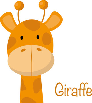 Hand drawn vector illustration of a cute funny giraffe, lettering quote Giraffe. Isolated objects. Concept for children print.