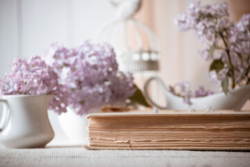 Fototapeta na wymiar Room interior with lilacs flower in vase, old vintage fairytale book and birdcage on table, tender romantic spring home decor design in morning light, reading literature concept, soft focus.