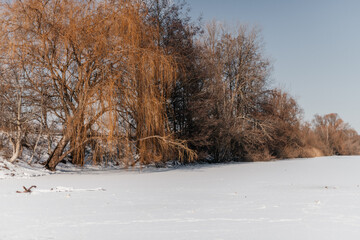 
zugefrorener See an einem sonnigen Tag