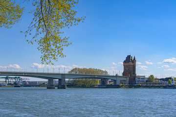 Rhine Bridge to Worms